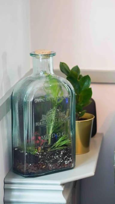 *Stunning* The Botanist Rest Ventnor Iowヴィラ エクステリア 写真
