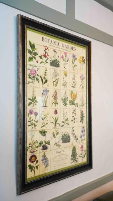 *Stunning* The Botanist Rest Ventnor Iowヴィラ エクステリア 写真