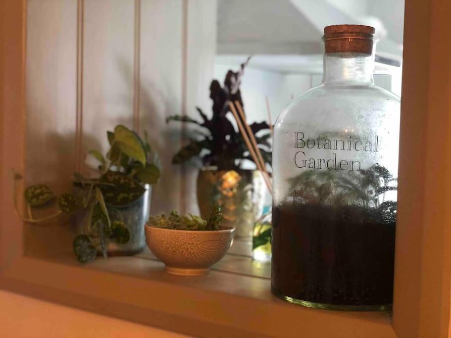 *Stunning* The Botanist Rest Ventnor Iowヴィラ エクステリア 写真