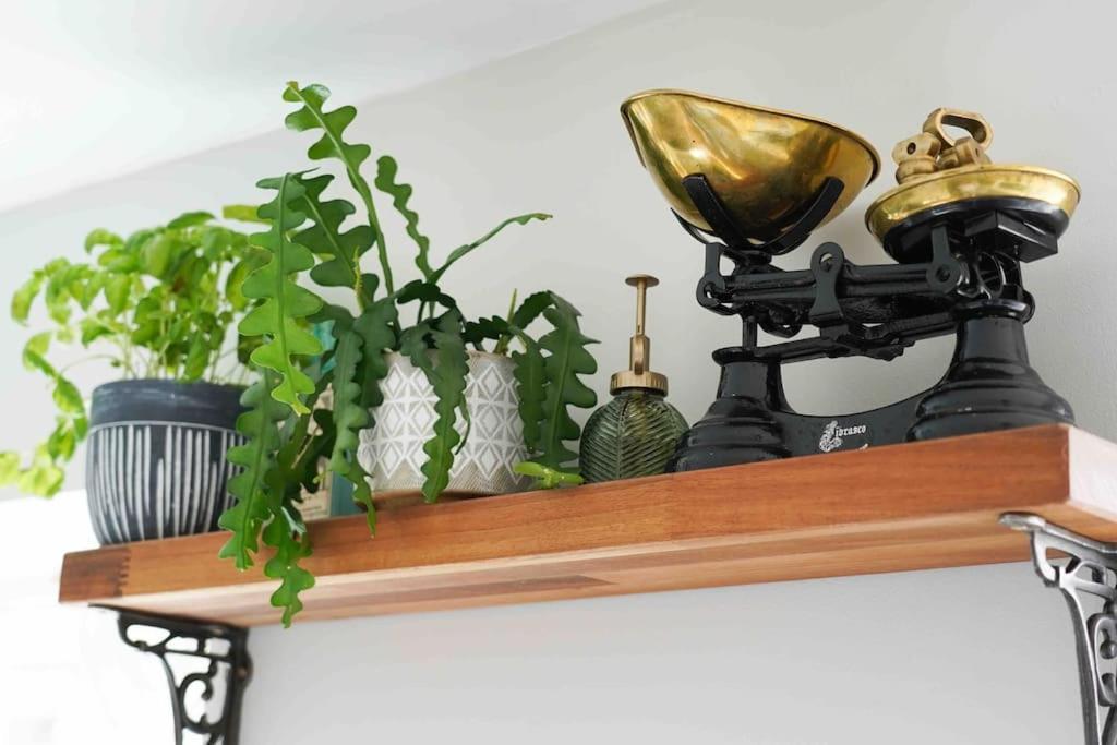 *Stunning* The Botanist Rest Ventnor Iowヴィラ エクステリア 写真